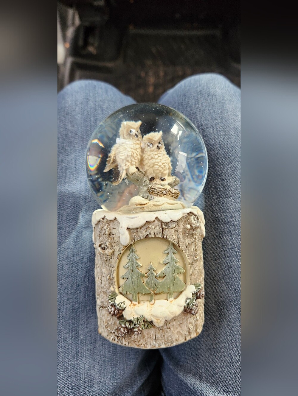 Owl Snow Globe